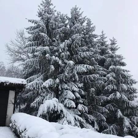 Fruehstueckspension Porranzl Penzion Hofamt Priel
