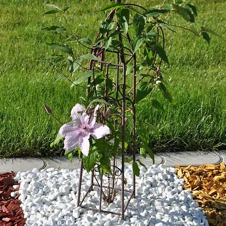 Gæstehus Fruehstueckspension Porranzl Persenbeug