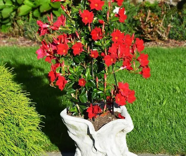 Fruehstueckspension Porranzl Hofamt Priel