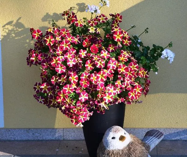 Fruehstueckspension Porranzl Guest house