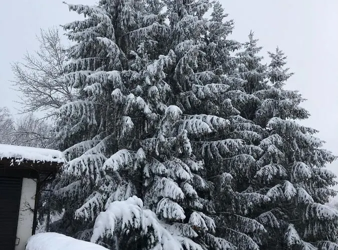 Fruehstueckspension Porranzl Guest house Hofamt Priel