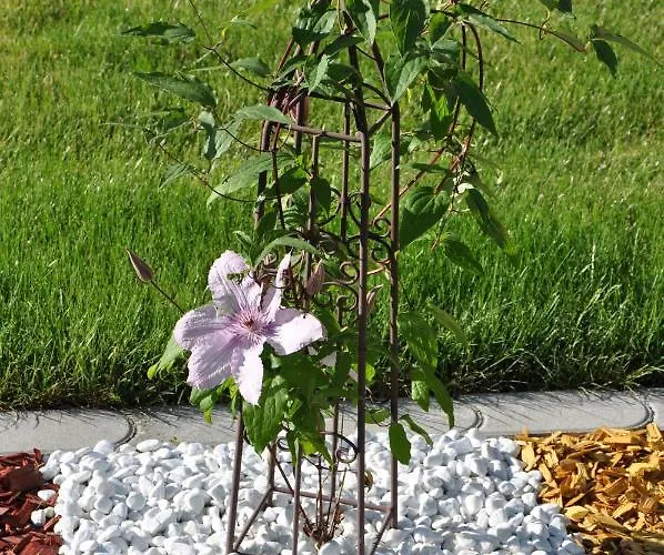 Guest house Fruehstueckspension Porranzl Hofamt Priel